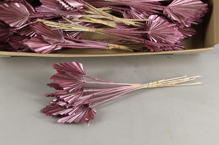 <h4>DF Palm Spear Small Antiq Pink</h4>