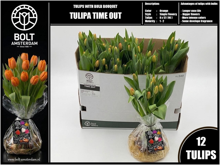 <h4>TU EN TIME OUT</h4>