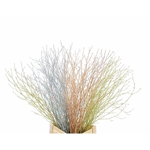 Berk 70cm Pastel Mix Bunch
