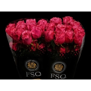 R GR Cherry Carpe Diem