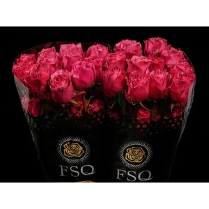 R GR Cherry Carpe Diem