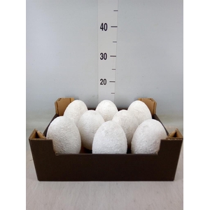 Decoratieve materialen   ...H%