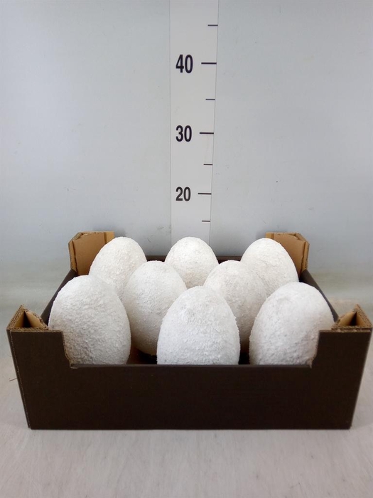 <h4>Decoratieve materialen   ...H%</h4>