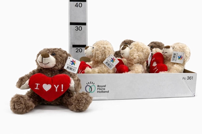 <h4>HUIS EN TUINDECO H%</h4>