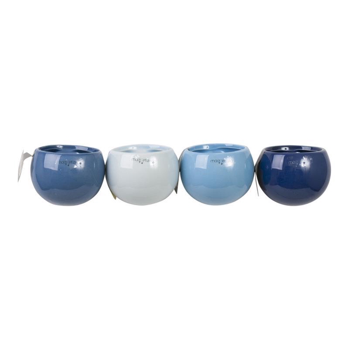 <h4>999170 Blue Mix P6</h4>