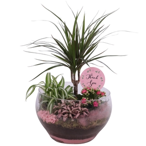 Mothersday Arr. Indoor Glass Bowl Rounded Ø25cm 4PP