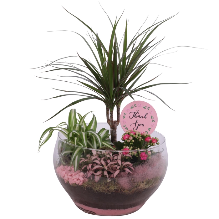 <h4>Mothersday Arr. Indoor Glass Bowl Rounded Ø25cm 4PP</h4>