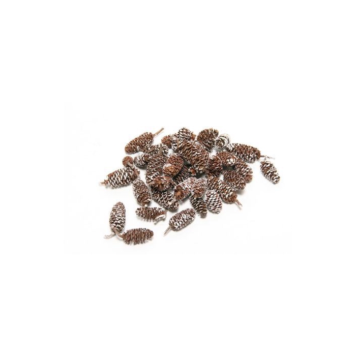 <h4>Pinecone Birch 300g</h4>