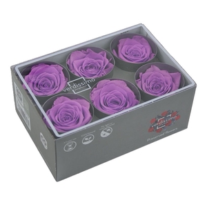 Roos standard bright lilac