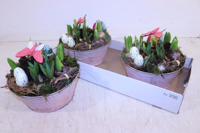 <h4>ARR BOL KNOLGEWAS</h4>