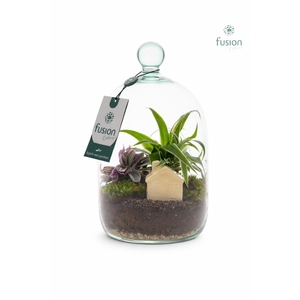 Green Bottle Novella Small met arrangement