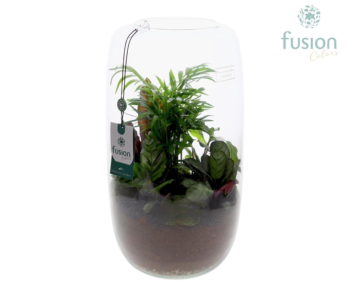 <h4>Green BottleIsabella XXLarge met Groene Planten arrangement</h4>