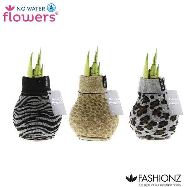 <h4>Hipp Waxbulb Fashionz Animal Print</h4>