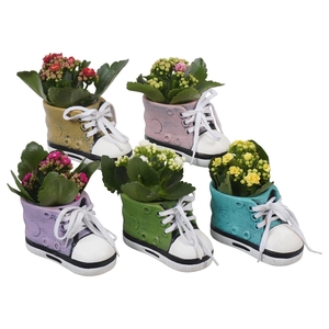 Arr. Planten L%