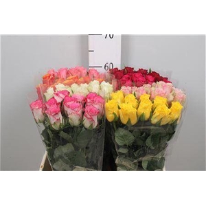 R Gr Gemengd In Fust Nvr60