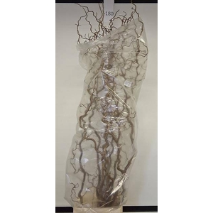 CORYL AV CONTORTA 180 CM =18=