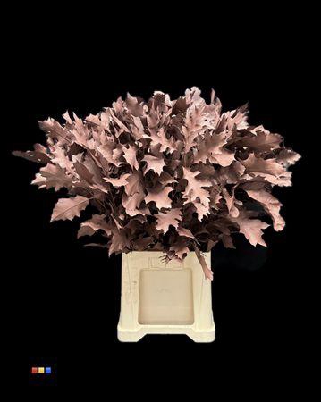 <h4>Eikeblad Choco Brown 60cm</h4>