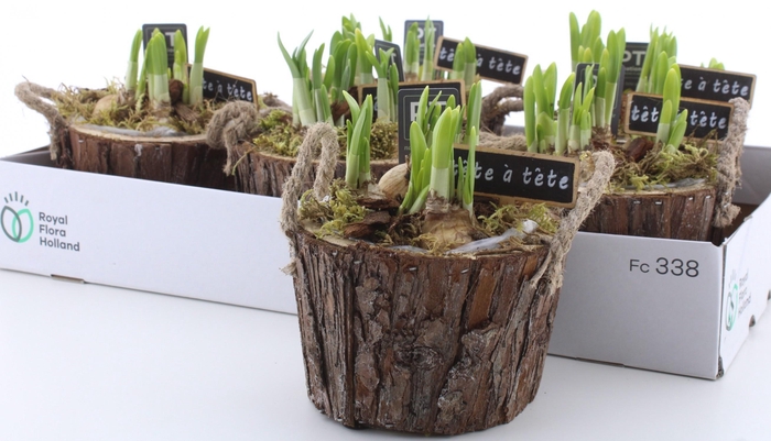 <h4>ARR N TETE A TETE</h4>