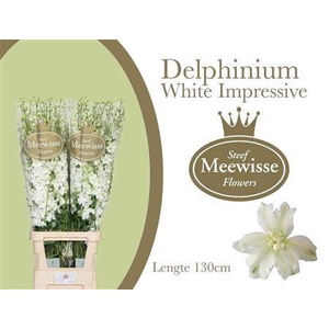 Delph Du Dew Impr Wh 130CM!!