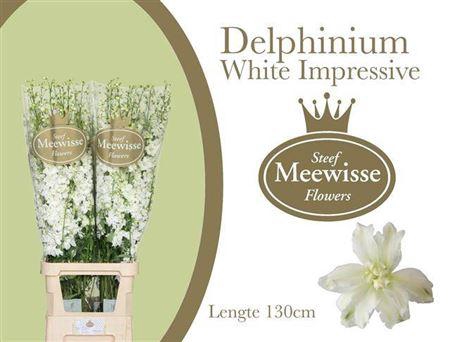 <h4>Delph Du Dew Impr Wh 130CM!!</h4>