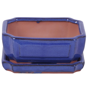 Bonsai accesoires Potset with saucer Ø15cm Blue