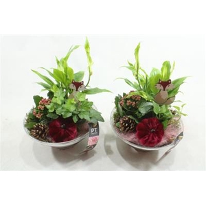 3324 PAARS GLAS 23 SPATH