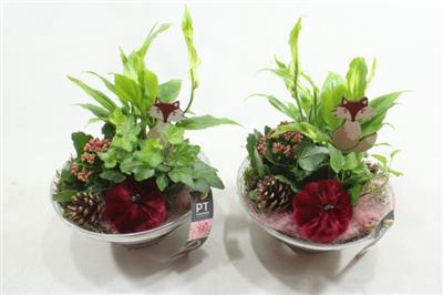 <h4>3324 PAARS GLAS 23 SPATH</h4>
