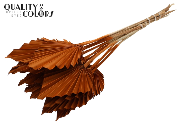 Palm Spear per stem Terracotta