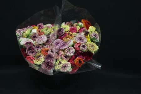 <h4>Ranonkel Extra Pico Mix</h4>