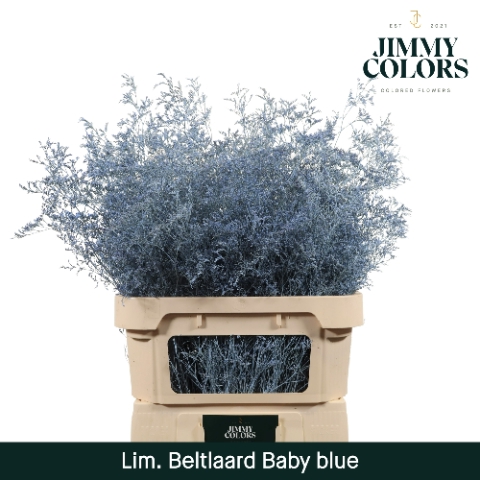 Lim Bel L90 Klbh. Baby blauw