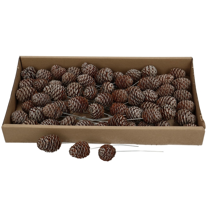 <h4>Pine cone Muirii/wire x60</h4>