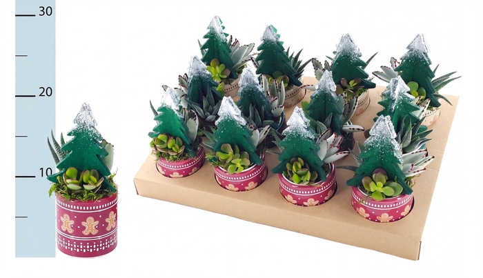 <h4>ARR KERST</h4>