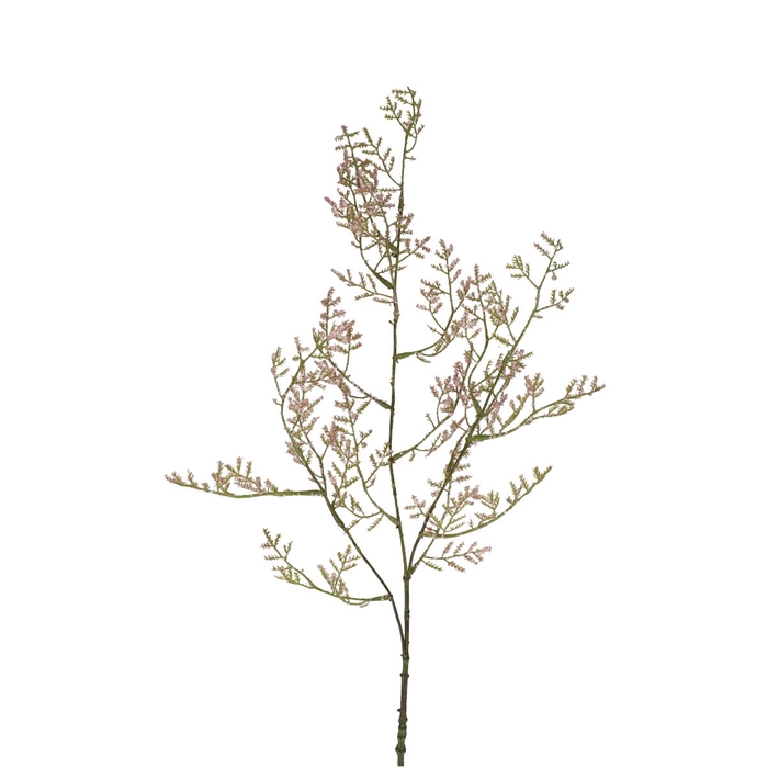 <h4>Limonium 90cm</h4>