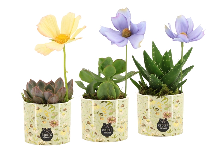 <h4>11695: Consideration arrangement</h4>