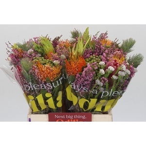 BQ Kaaps Groen Rivermix