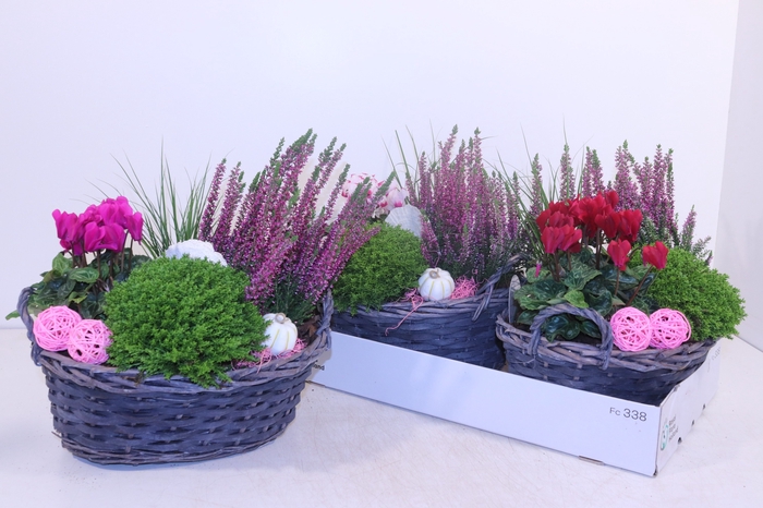 <h4>ARR TUINPLANTEN</h4>