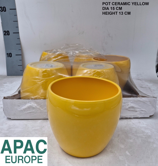 <h4>KERAMISCHE POT H%</h4>