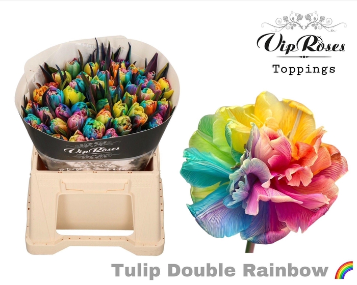 <h4>TU EN OV KLB H%</h4>