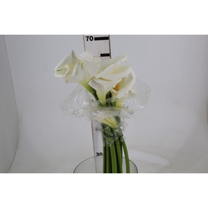 COPO DE LEITE BRANCO 060 CM