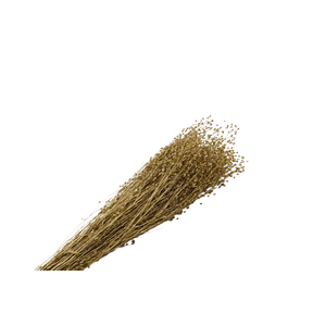 Lepidium Gold