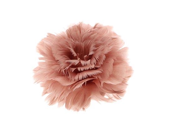 Feather Rose Clip H9D11