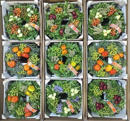 <h4>Wr Sierfruit 30cm (melli)</h4>