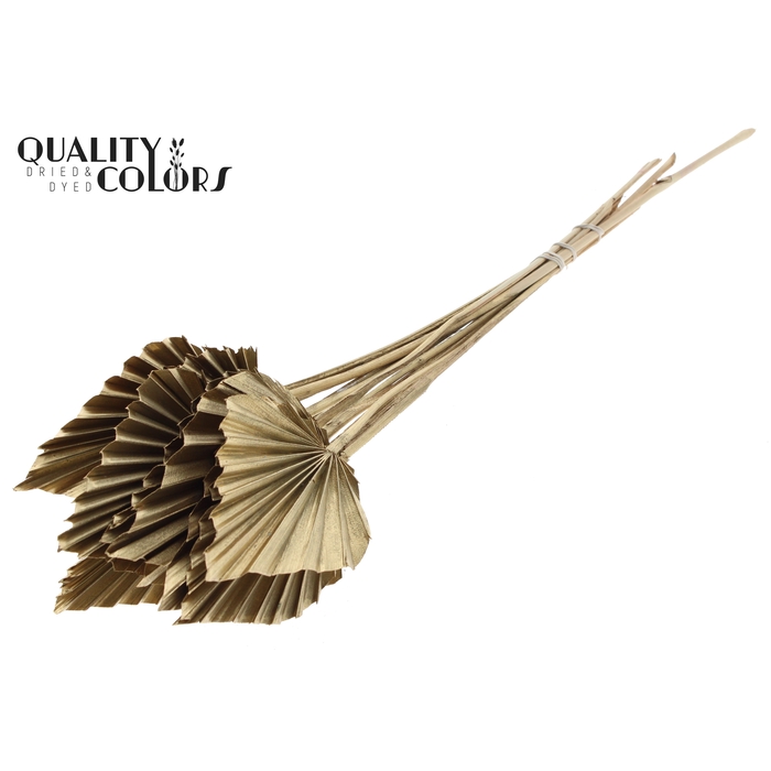 <h4>Palm Spear per stem Antique Gold</h4>