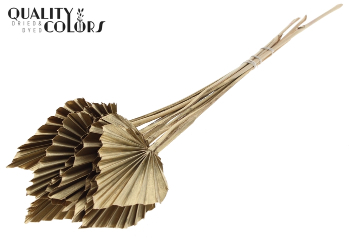 Palm Spear per stem Antique Gold