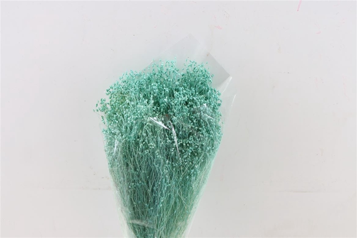 <h4>Dried Brooms Aqua Blue Bunch</h4>