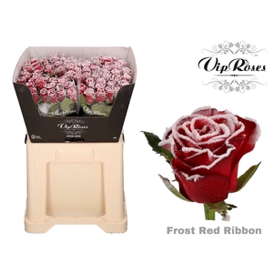 R GR FROST RED RIBBON