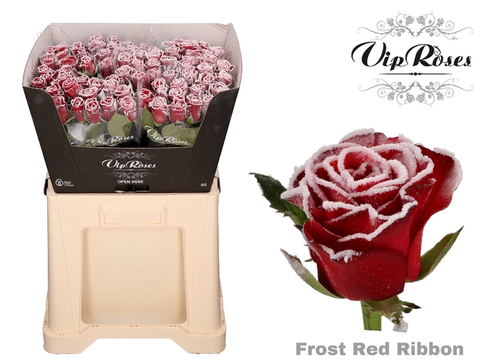 <h4>R Gr Vip Frost Red Ribbon</h4>