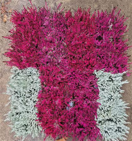 <h4>Callu Klb Mixk H%</h4>