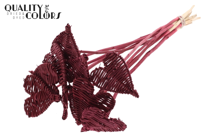 Lata Heart 8cm on stem Hat type Burgundy