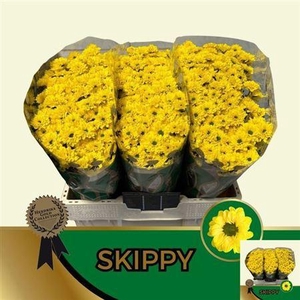 Chr S Skippy 1200gr